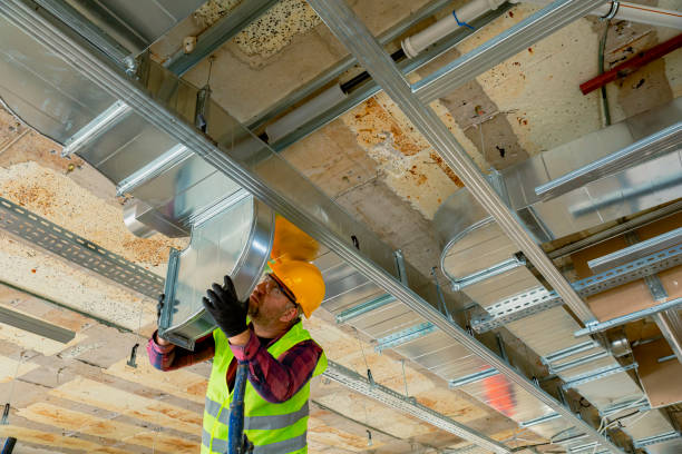 Best Air Filters and Purifiers in Mledgevle, IL
